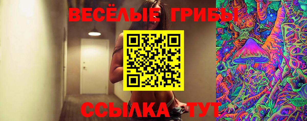 Городец  Галлюциногенные грибы Psilocybe  купить наркотик  Вход с VPN  Псилоцибиновые грибы Psilocybine cubensis 